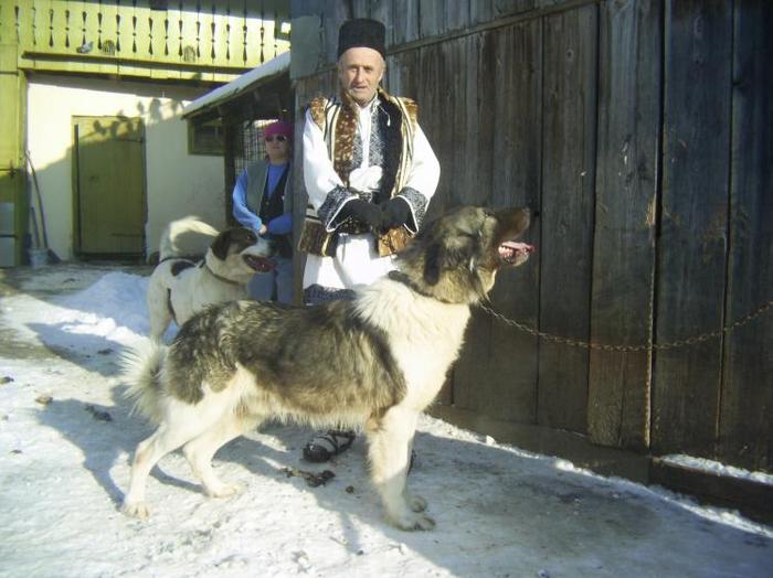 1294227588-pic_0148 - BUCOVINA COLT DE RAI