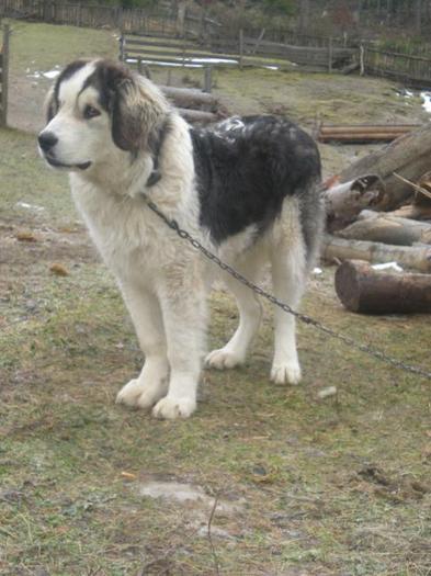 1262250971-picture-1463