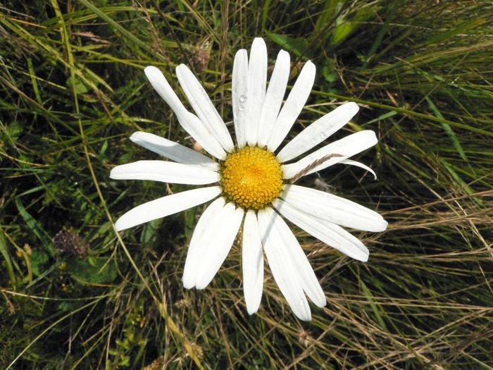 P1170135