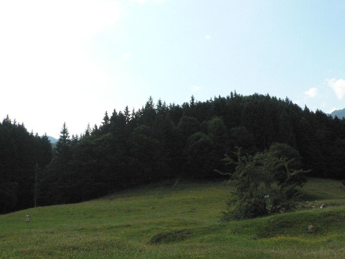 P1170206