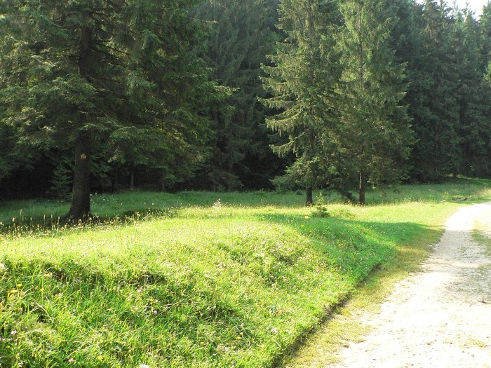 P1170236