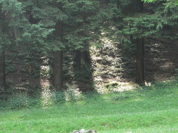 P1170270