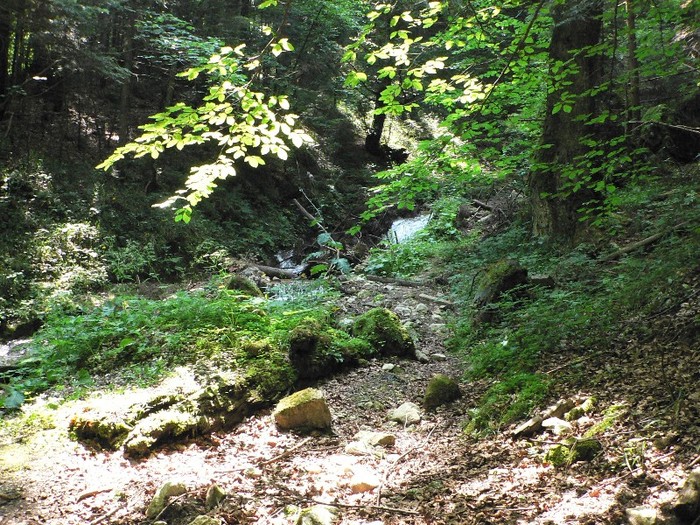 P1170334