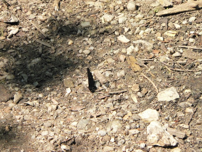 P1170348