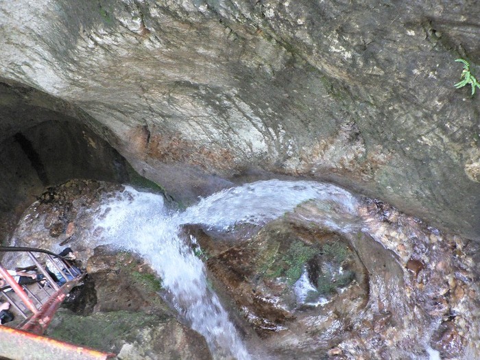 P1170372