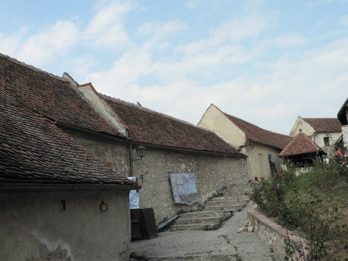 P1180077