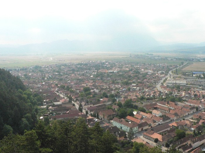 P1180078