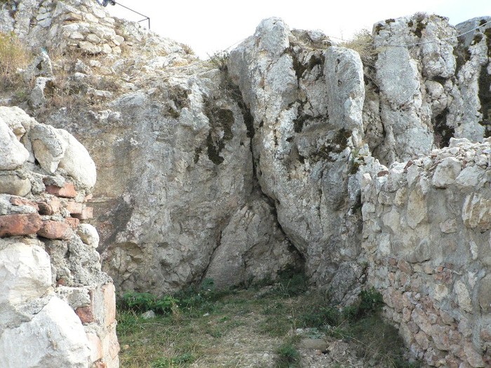 P1180089