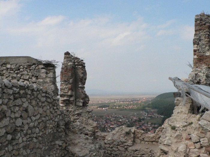 P1180092