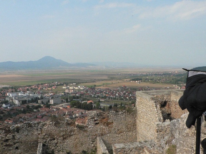 P1180109