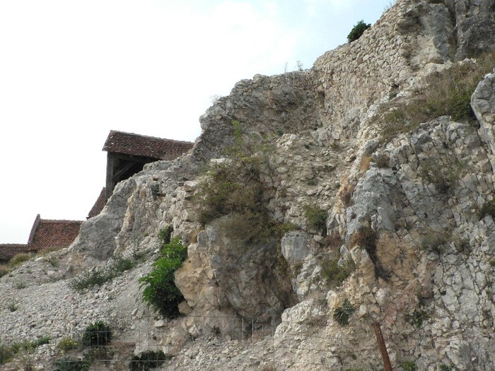 P1180113