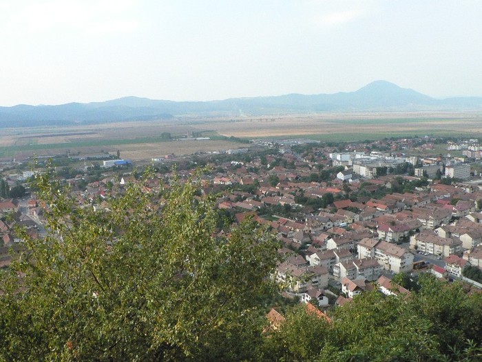 P1180125