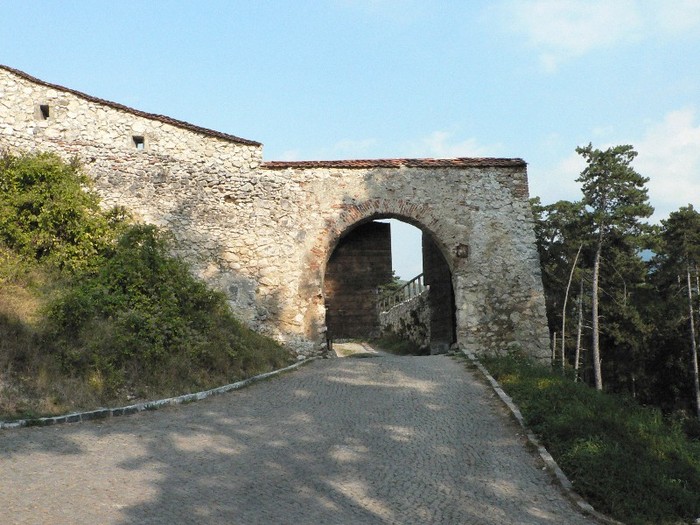 P1180126