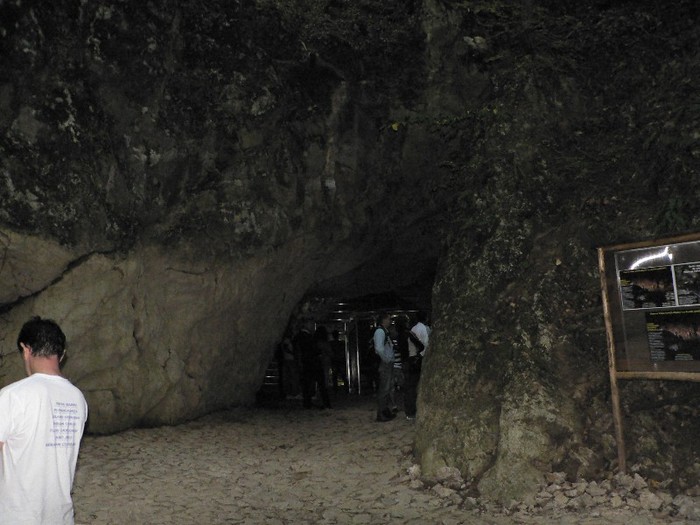 P1180160