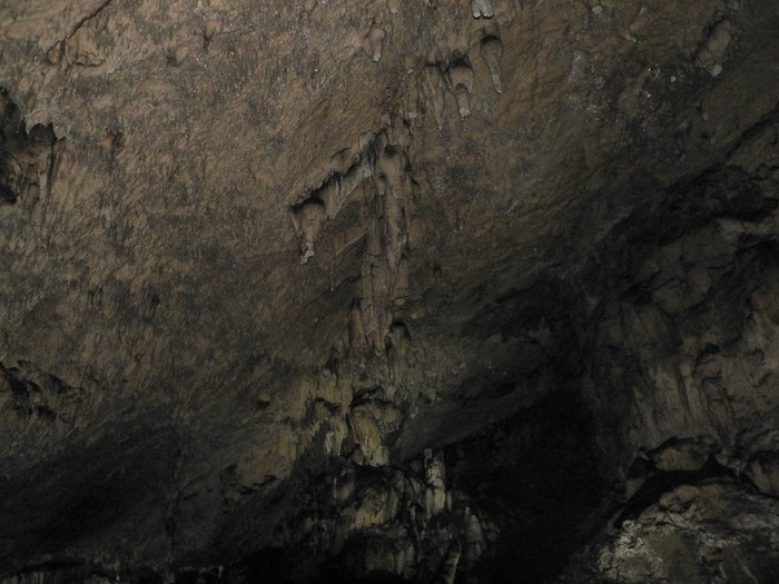 P1180223