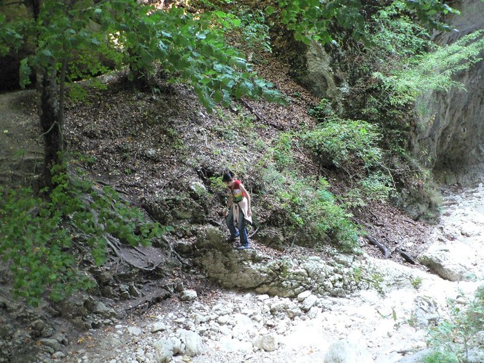 P1180307 - 2011 17-19 09  CONCEDIU 2011