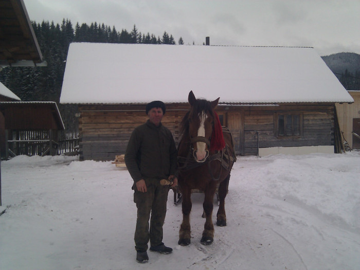 IMG_20120119_150338 - Caii mei