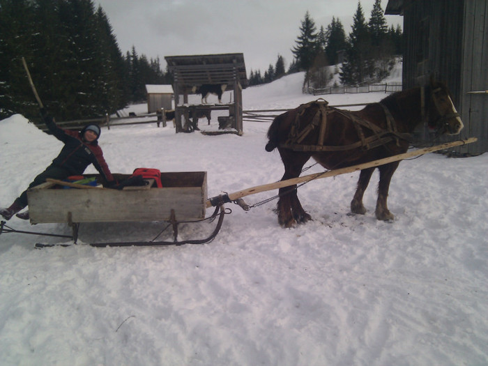 IMG_20120119_162023 - Caii mei