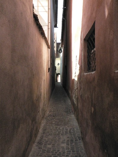 P1180555
