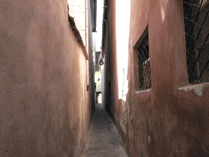 P1180556