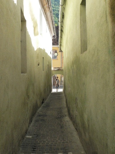 P1180557