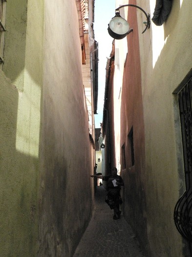 P1180562