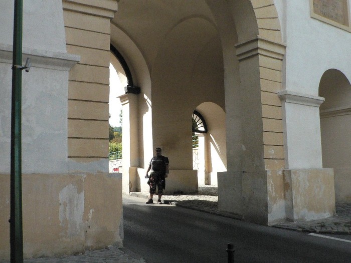 P1180591