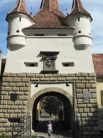 P1180612