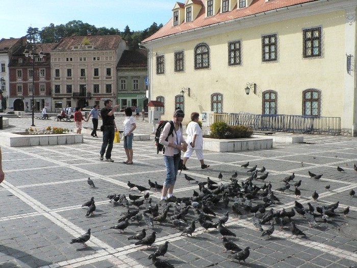 P1180633