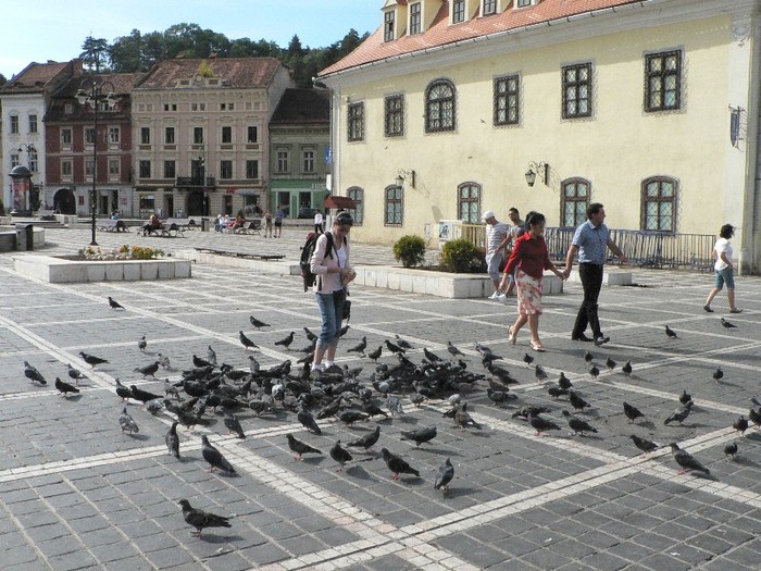P1180635