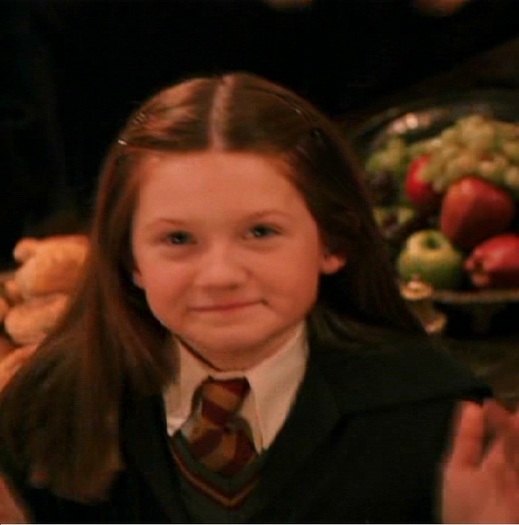 193 - Harry Potter si Camera Secretelor 2002