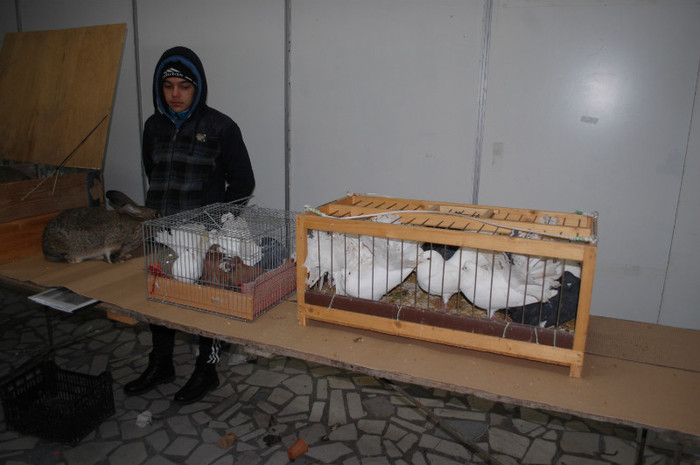 DSC_8664 - Expo 2012 Arges