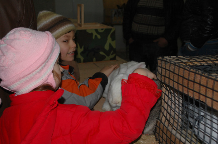 DSC_8690 - Expo 2012 Arges