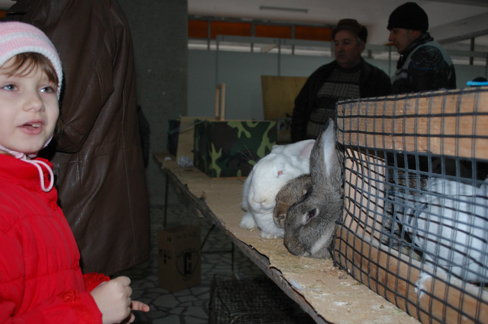 DSC_8691 - Expo 2012 Arges