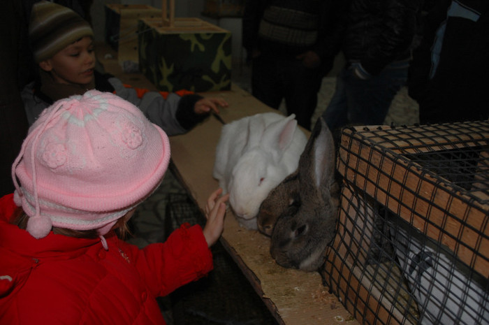 DSC_8692 - Expo 2012 Arges
