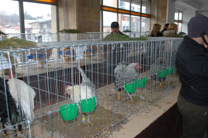 DSC_8700 - Expo 2012 Arges