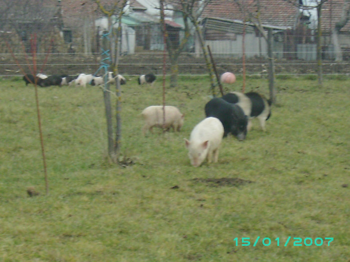 PICT0026