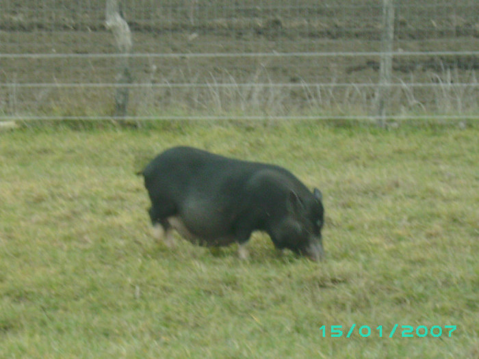 PICT0047