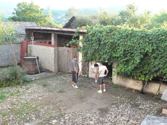 P1170633 - 2011 19-21 08  zi Martinik - Pietrosita