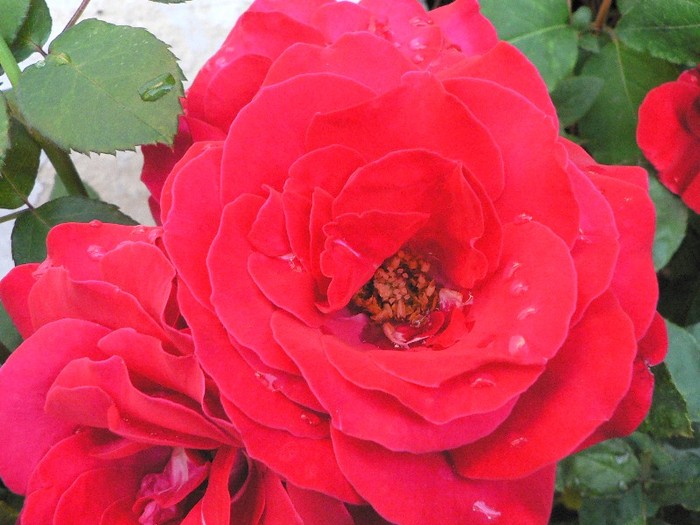 P1170647