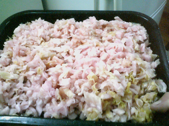 pregatita de cuptor cu untura de rata - DELICII CULINARE