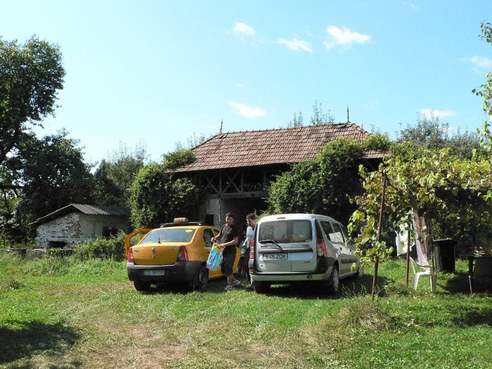 P1120162 - 2010 21-22 08 Zi Martinik Gemenea-Targoviste