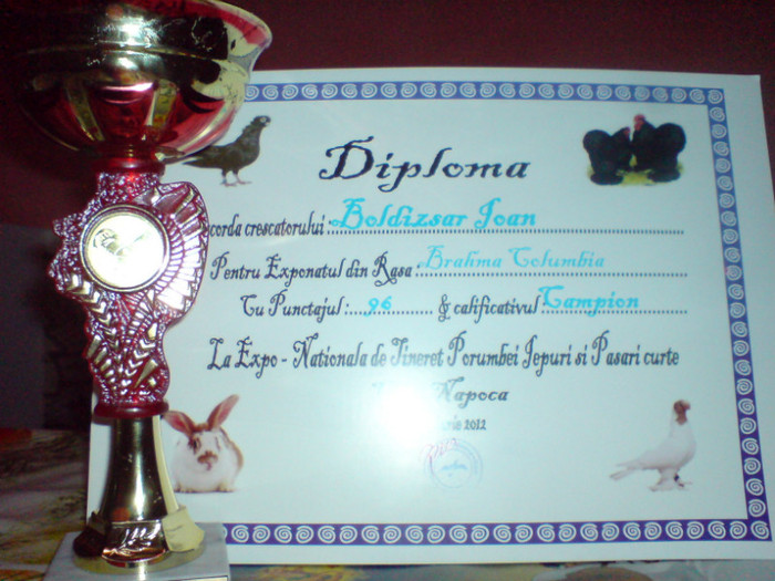 CLUJ 2012 - CUPE si DIPLOME 2010-2013