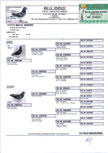 RO 11 0549353 F - Pedigree porumbei