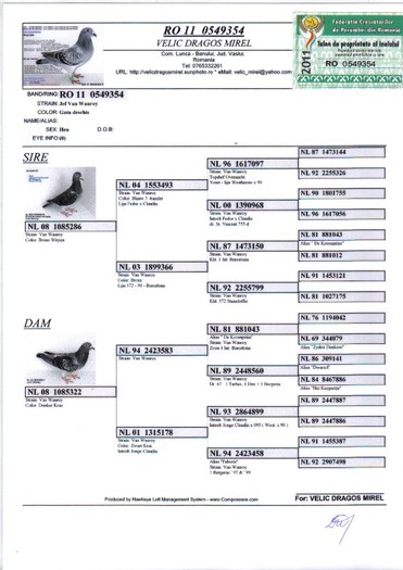 RO 11 0549354 F - Pedigree porumbei