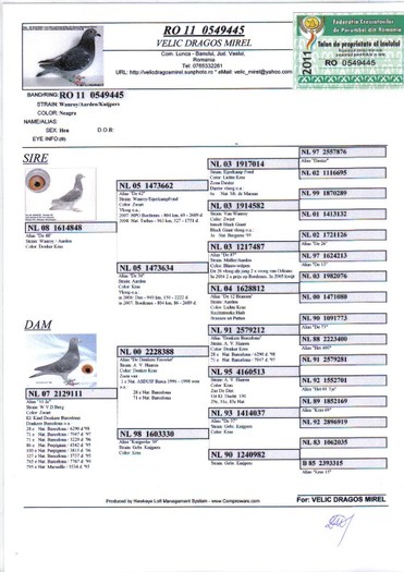 RO 11 0549445 F - Pedigree porumbei