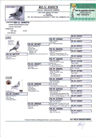 RO 11 0549376 F - Pedigree porumbei