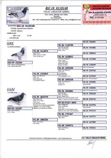 RO 10 0118148 M - Pedigree porumbei