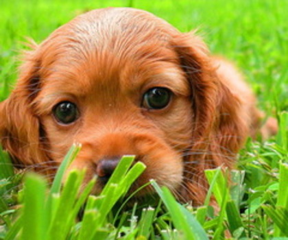 tumblr_lrdloiNdJV1qi23vmo1_500_thumb