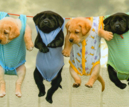 tumblr_ly9p03KZ2C1r0gm9bo1_500_thumb